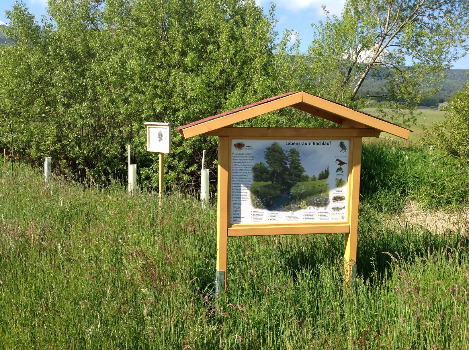 Naturlehrpfad - Infotafel Lebensraum Bachlauf