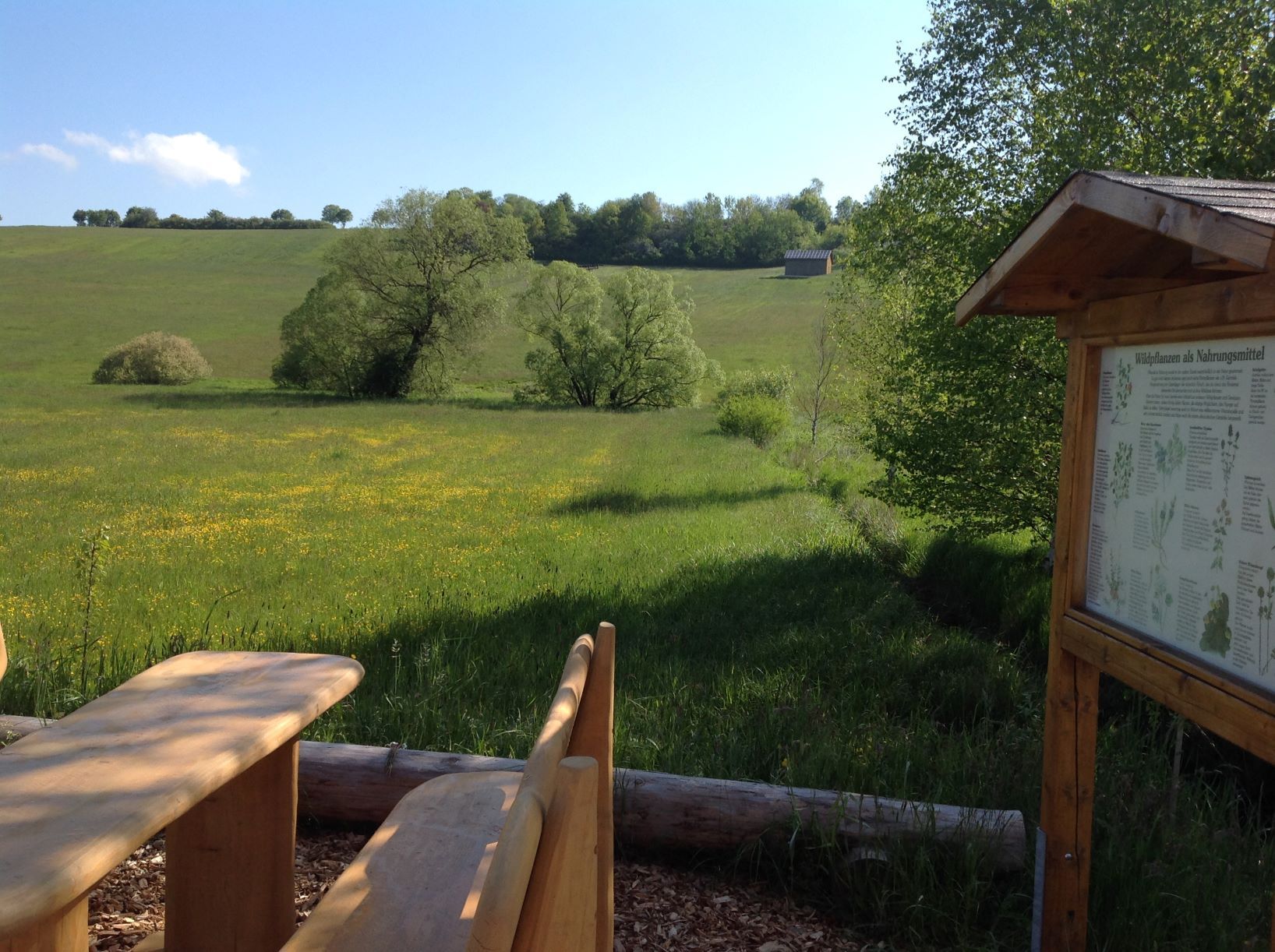 Naturlehrpfad - Sitzgruppe mit Infotafel Wildpflanzen