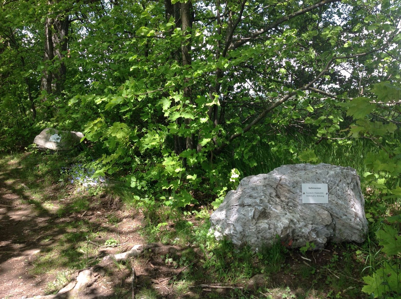 Naturlehrpfad - Mineralienstein Kalkmarmor aus Helmhof