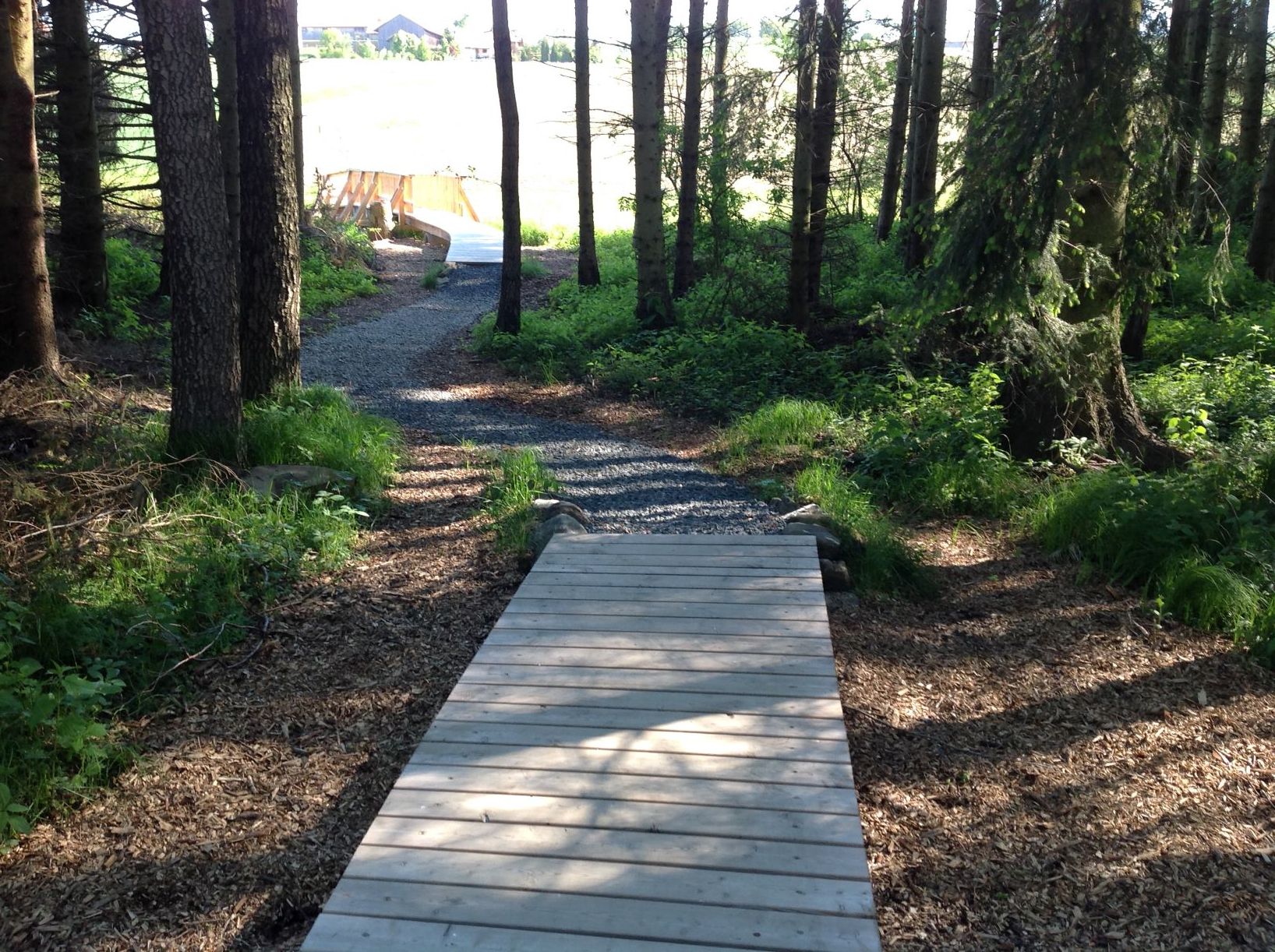 Naturlehrpfad - Holzbohlenweg